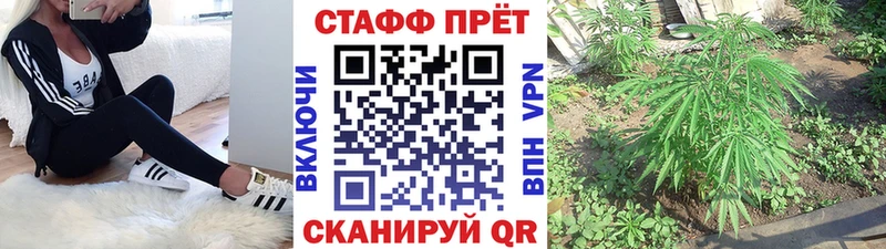 Купить наркотик аптеки Жуковский Cocaine  ссылка на мегу ссылка  СОЛЬ  МАРИХУАНА  Меф мяу мяу  Амфетамин 