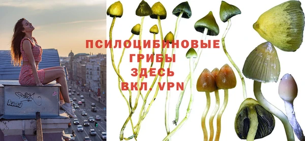 круглые Алзамай